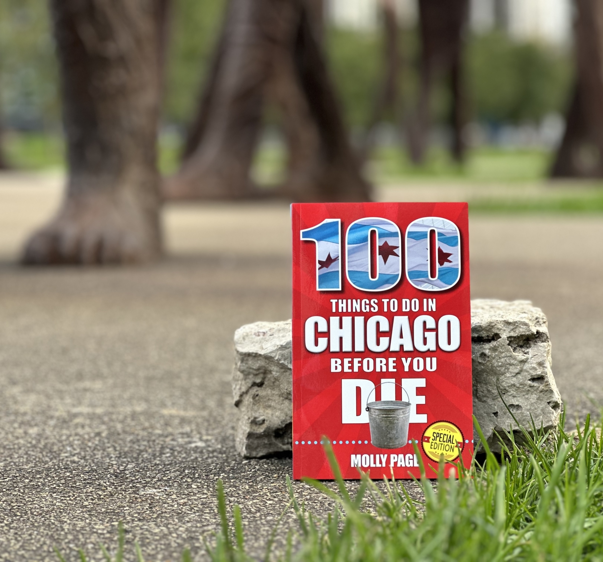 100 Things To Do In Chicago Before You Die